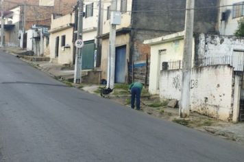 Serviços de roçada acontecem no bairro São Benedito
