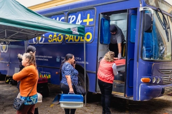 Prefeitura de Itapeva realiza ação de castração gratuita por meio do programa Castra+ São Paulo