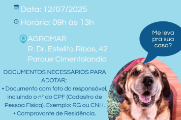 Feira de Adoção de cães e gatos acontece neste sábado (12), em frente à Agromar