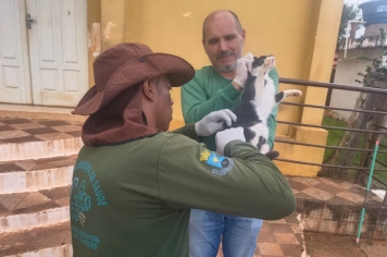 Vacinação antirrábica é realizada no bairro Pacova