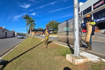 Secretaria de Administrações Regionais finaliza os serviços de roçada na Avenida José Ermírio de Moraes
