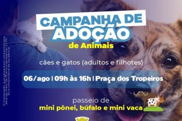 Feria de adoção de animais acontece neste sábado (06)