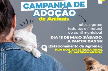 Prefeitura realiza Campanhas de Adoção de Animais