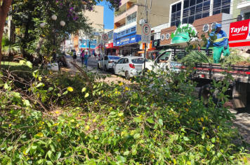 Poda de árvores é realizada na Praça Anchieta em Itapeva