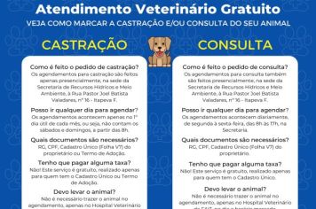 Prefeitura disponibiliza atendimento veterinário 