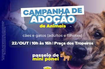 Campanha de adoção de animais acontece neste sábado (22)