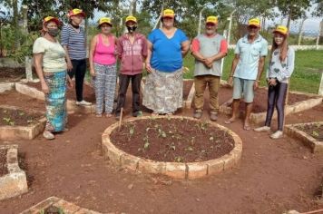 Projeto Horta Comunitária quer estimular hábitos saudáveis entre famílias assistidas por programas sociais.
