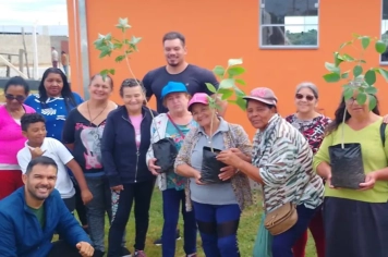 Itapeva promove plantio de ipês e celebra o meio ambiente no CRAS Morada do Bosque