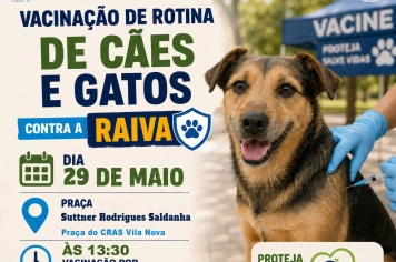 Prefeitura de Itapeva promove ação de vacinação de rotina contra a raiva para cães e gatos na Vila Nova