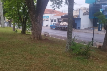 Secretaria de Administrações Regionais realiza os serviços de roçada na Avenida Acácio Piedade