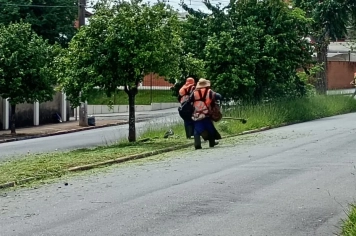 Serviços de roçada e limpeza são realizados na avenida Europa e imediações