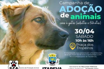 Feria de adoção de animais acontece neste sábado (30)