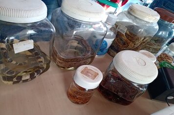 SENAR/Sindicato Rural e Fundo Social de Solidariedade promoveram curso com animais peçonhentos