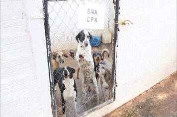 Serviços de cuidado animal são ampliados em Itapeva