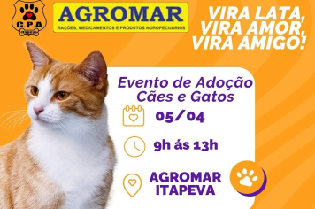 Feira de Adoção Animal acontece em frente à loja Agromar
