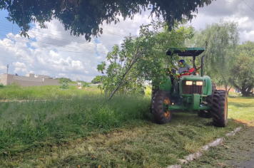Roçada é realizada na Avenida Vaticano e bairro São Camilo