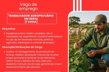 PAT divulga a abertura de novas vagas de emprego em Itapeva