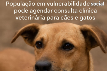População em vulnerabilidade social pode agendar consulta clínica veterinária para cães e gatos