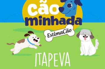 Cãominhada 2025 acontece com diversas atrações para os pets e seus tutores