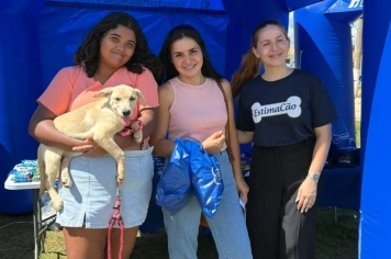 Mega Evento de Adoção em Itapeva garante novo lar para 23 animais resgatados