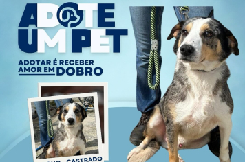 População de Itapeva pode adotar animais castrados e vacinados diretamente com o C.P.A