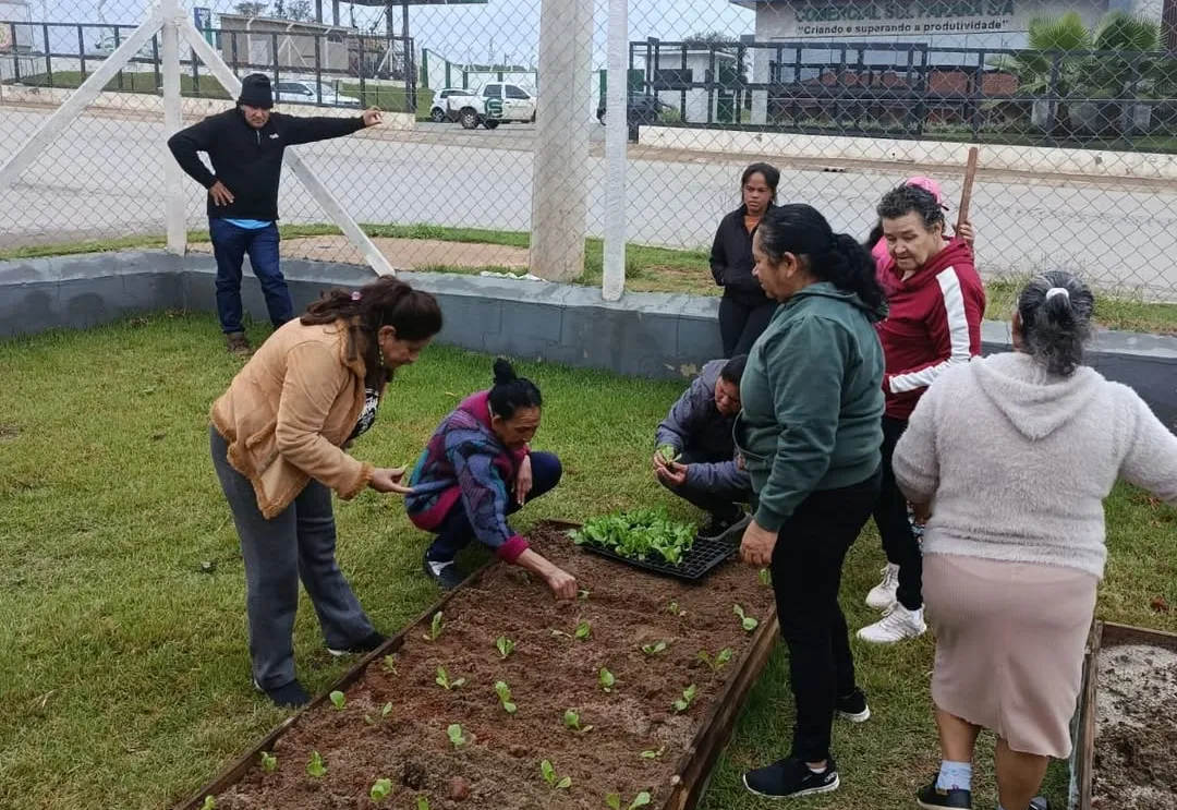 Oficina de horticultura urbana promove autonomia e saúde para mulheres no CRAS Morada do Bosque