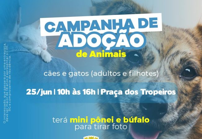 Feria de adoção de animais acontece neste sábado (25)