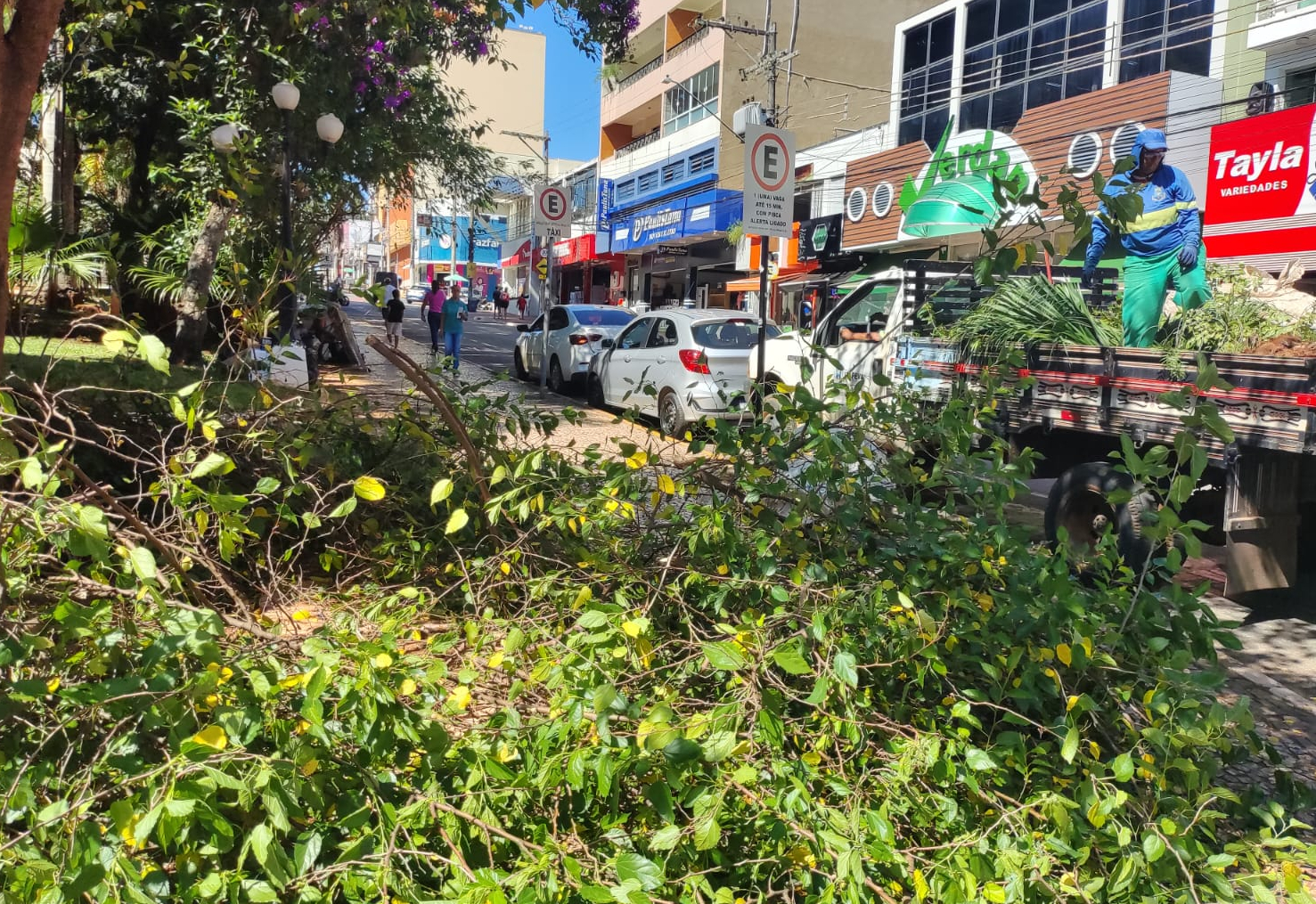 Poda de árvores é realizada na Praça Anchieta em Itapeva