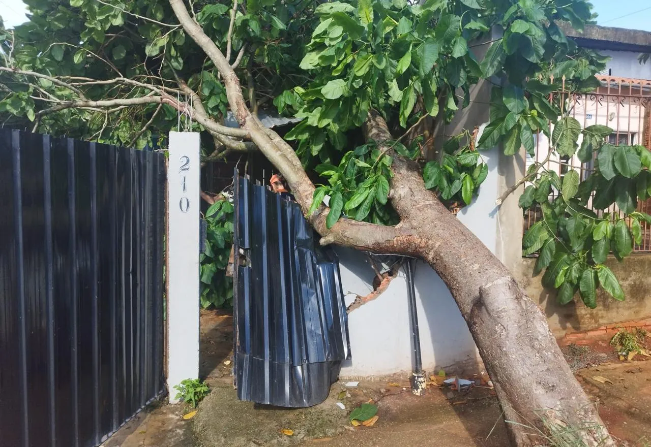 Defesa Civil registra ocorrências pontuais após chuvas e ventos em Itapeva