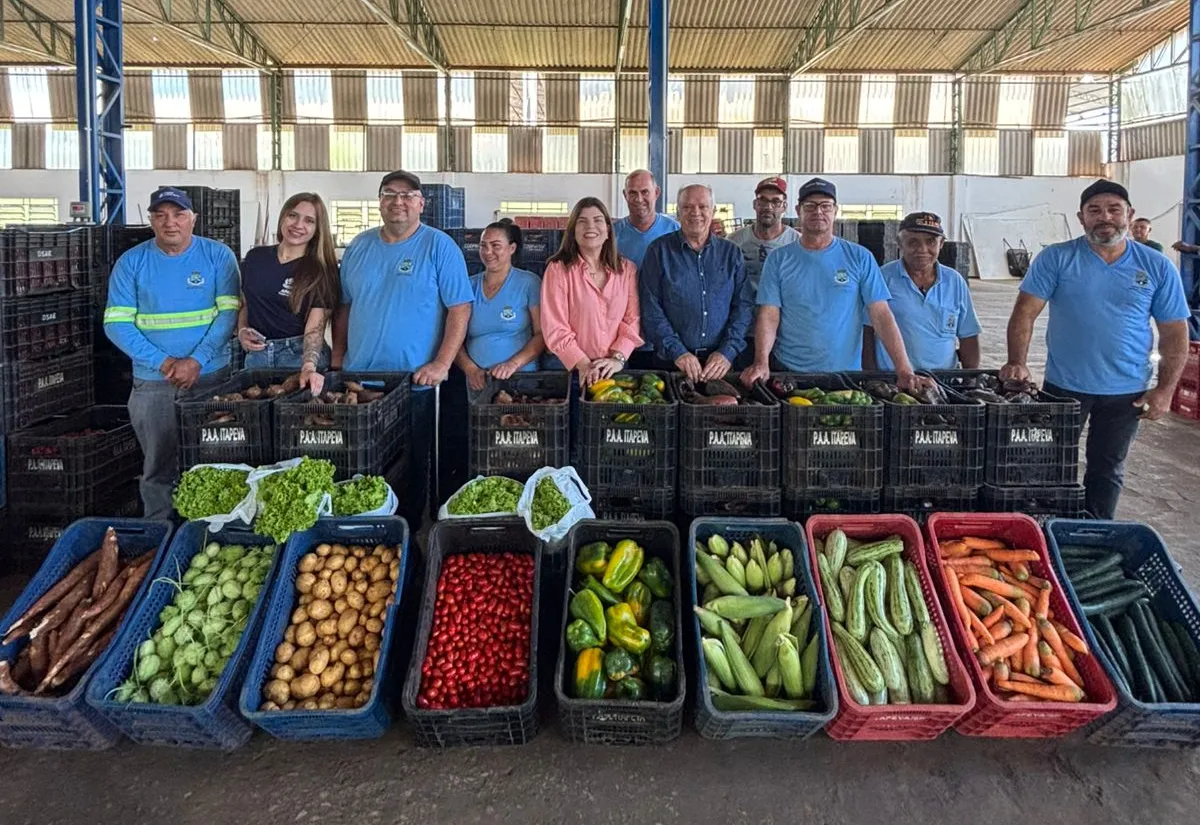 Reunião com entidades assistenciais para fortalecer logística de distribuição de hortifrutigranjeiros é realizada