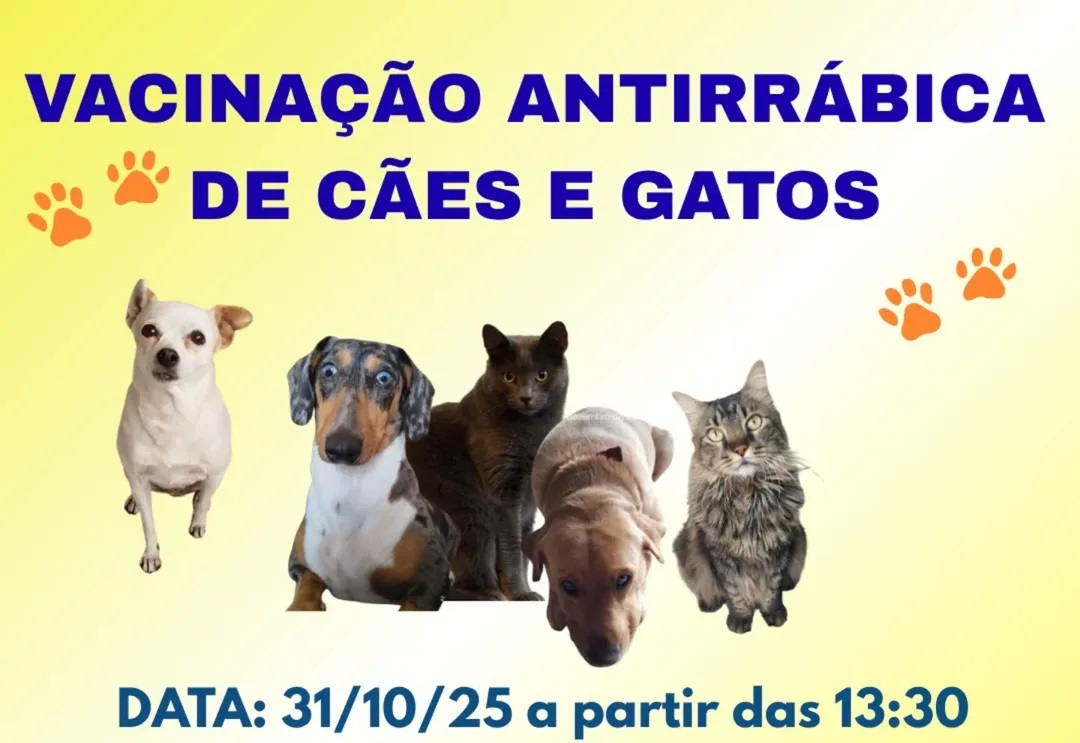 Vacinação contra a raiva animal acontece nesta sexta-feira (31) em Itapeva