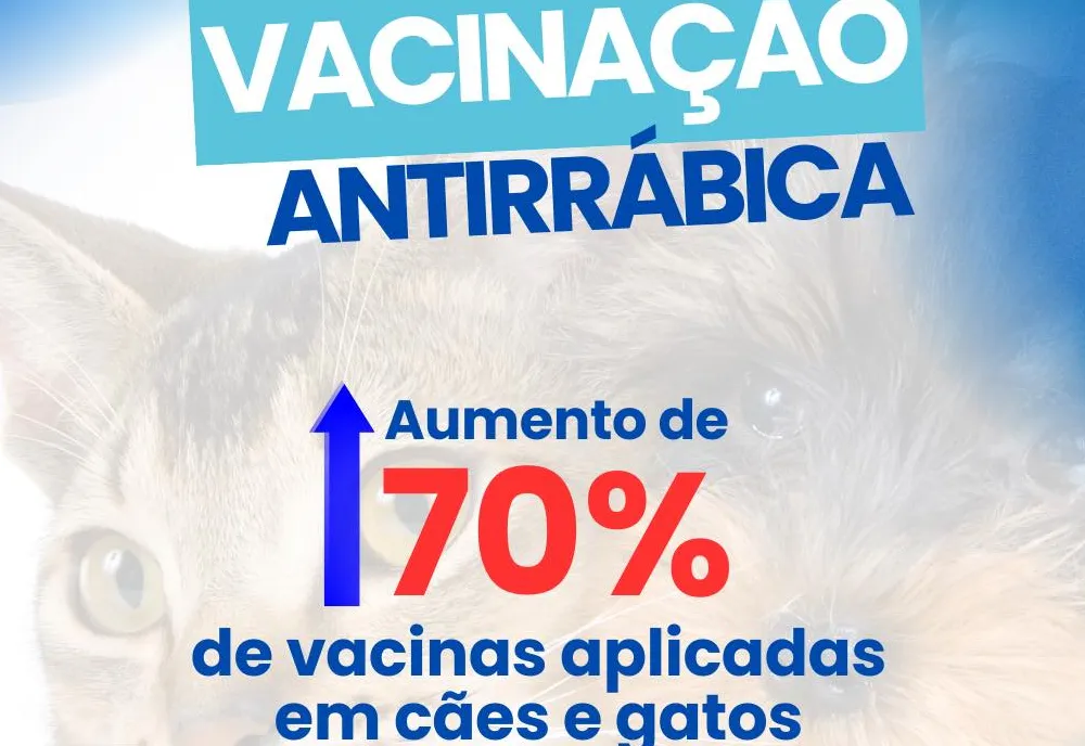 Itapeva fortalece ações de vacinação antirrábica e registra aumento significativo de doses aplicadas 
