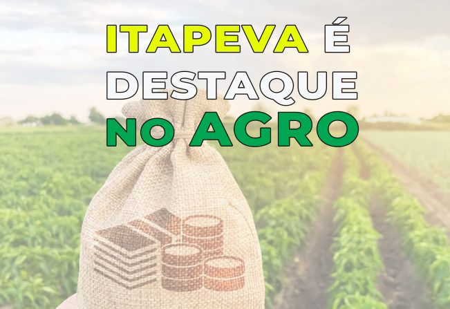Itapeva é o 44° município mais rico do agronegócio