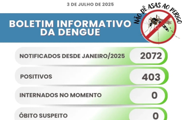 Itapeva registra 403 casos de Dengue positivos no município