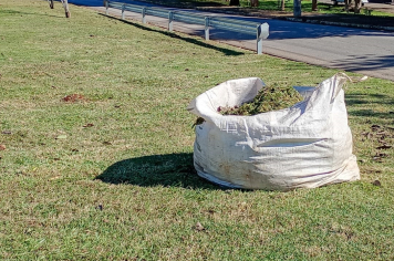 Prefeitura de Itapeva realiza roçada e limpeza na Avenida Vaticano