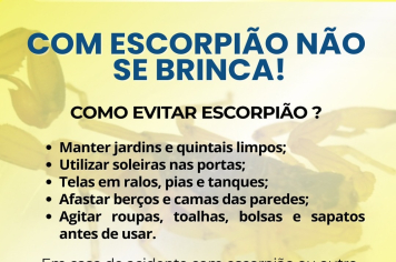 Prefeitura alerta sobre aumento de escorpiões no município e reforça medidas de prevenção