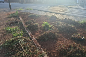 Av. José Ermírio de Moraes e outros locais de Itapeva recebem serviços de Zeladoria Urbana