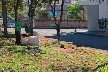 Prefeitura realiza serviços de Zeladoria Urbana na Av. Higino Marques