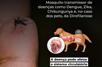 Mosquito da Dengue também pode causar doença em animais domésticos