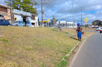 Ações de limpeza e manutenção urbana são realizadas em diversos pontos da cidade