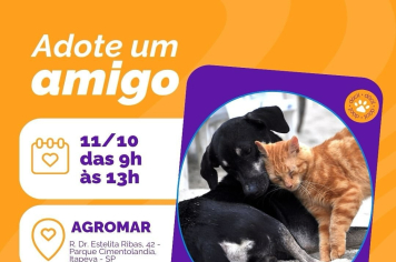 Feira de adoção animal acontece neste sábado (11)