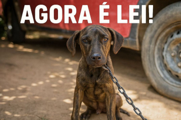  Lei Estadual nº Lei 18.184/2025mtraz novas regras sobre o uso de correntes em animais domésticos