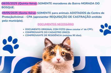 Agendamento para castração de animais domésticos é realizado