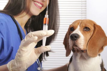 Secretaria da Saúde convoca protetores para imunizarem seus Pets