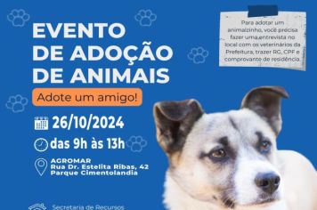 Prefeitura realiza feira de adoção de animais