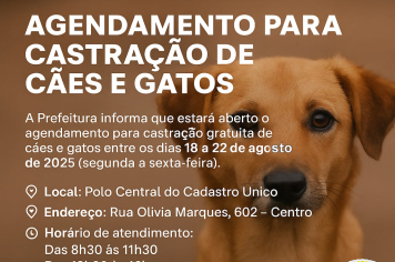 Agendamento para castração de cães e gatos será retomado no mês de agosto