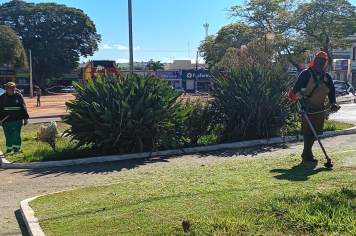 Prefeitura realiza serviços de roçada e limpeza na Av. Paulina de Moraes