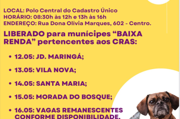 Secretaria Municipal de Recursos Hídricos e Meio Ambiente dará continuidade ao agendamento de castração animal no Polo Central do Cadastro Único