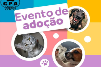 Evento de Adoção de Animais acontece neste sábado (10) em Itapeva