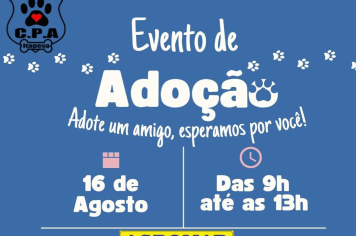 Feira de adoção animal acontece no próximo sábado (16)